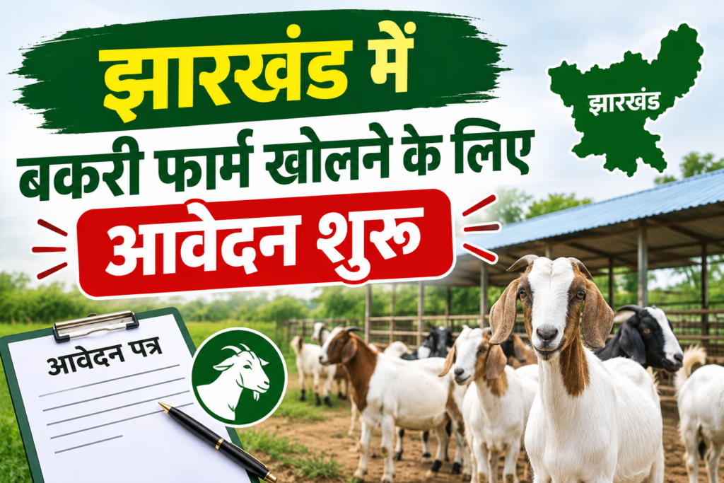 Jharkhand Goat Farming