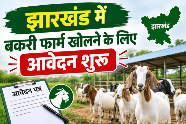 Jharkhand Goat Farming